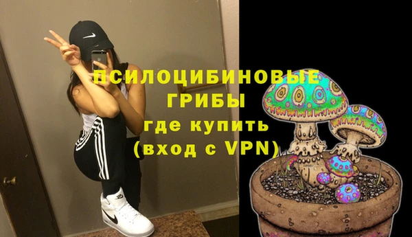 прущий лед Нея